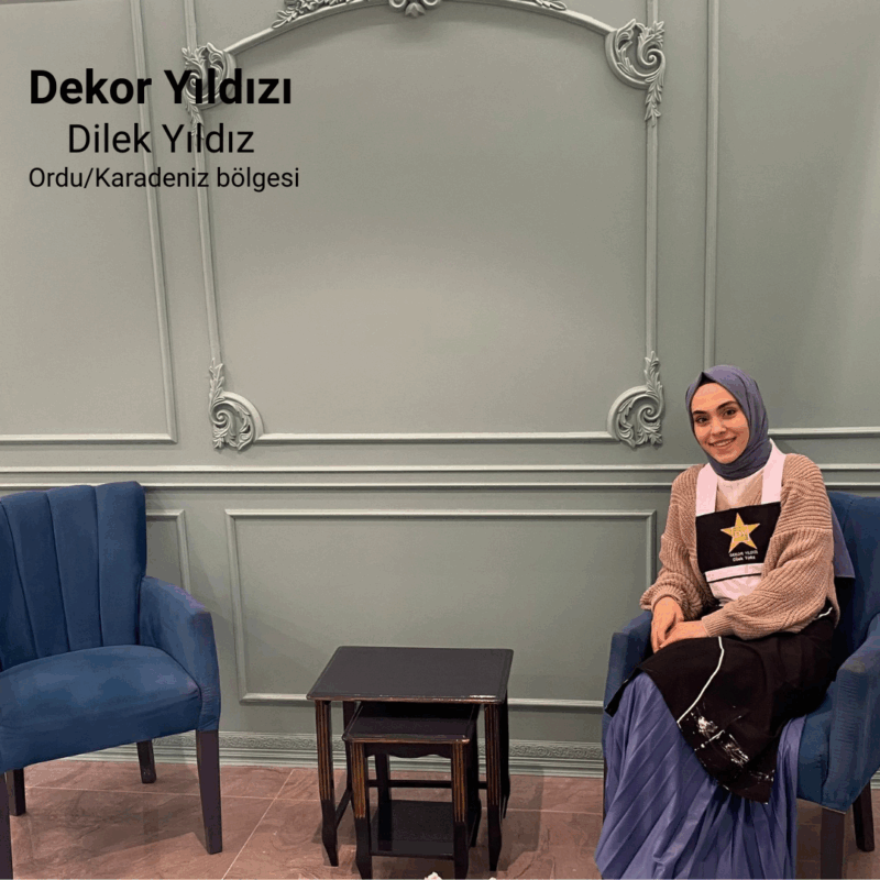 Dekor Yildizi